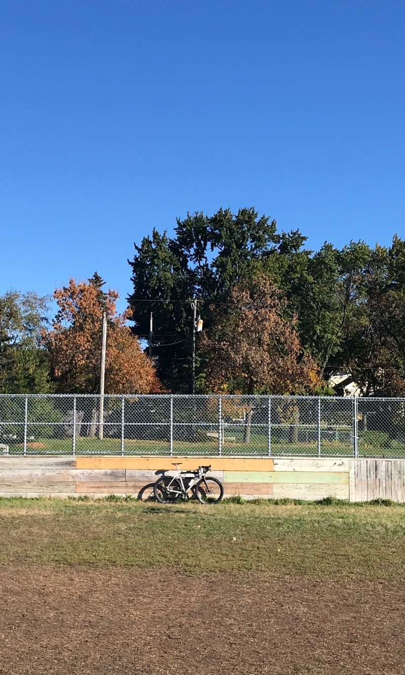 Surly Midnight Special Bike on grass leaning on a board wall with chain link above in a park, trees in the background