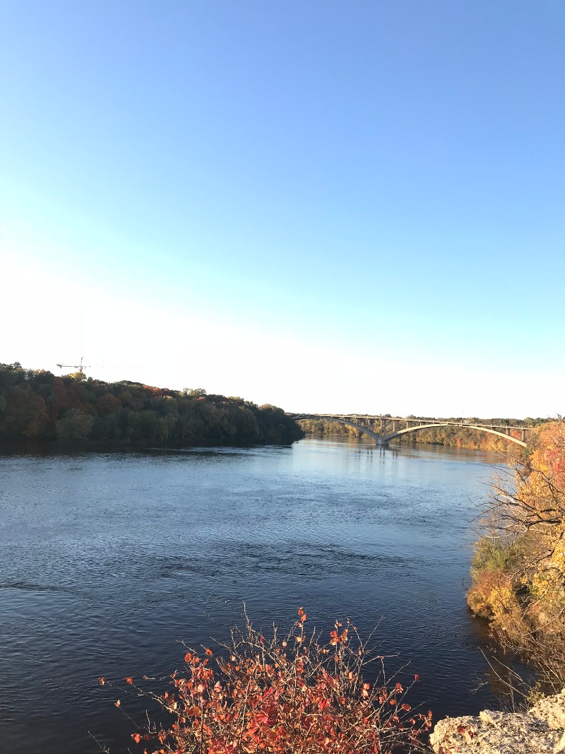 Overlook of a river with trees to the sides with a vehicle bridge in the distance on a sunny day