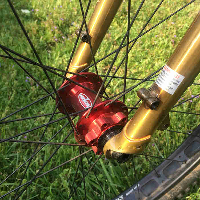 Downward cropped view of the lower fork and thru axle hub on Surly Krampus bike, gold