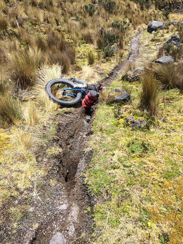 Front view of a Surly Pugsley bike, laying on its left side, on a narrow dirt trail between brushy fields