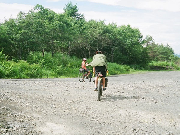 Cyclists riding on gravel road with thick forest on side