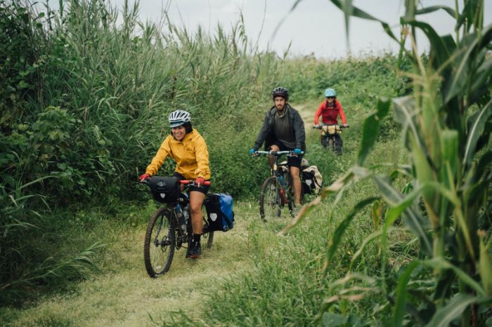 Andrea and Jake riding through a corn field