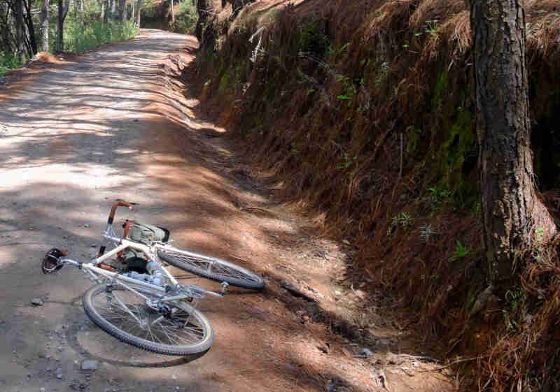 Rear view of a Surly bike laying on a roadside, with pine needle covered hills on the right and trees on the left