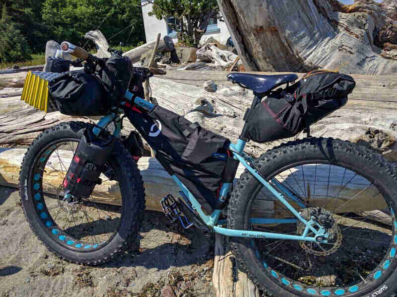 Left side view of a Surly Wednesday MY17 fat bike, mint, parked on sand, in front of a large downed tree