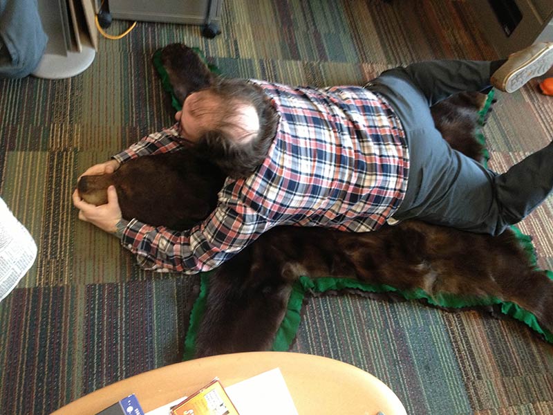 Downward view of a person laying on a bearskin rug