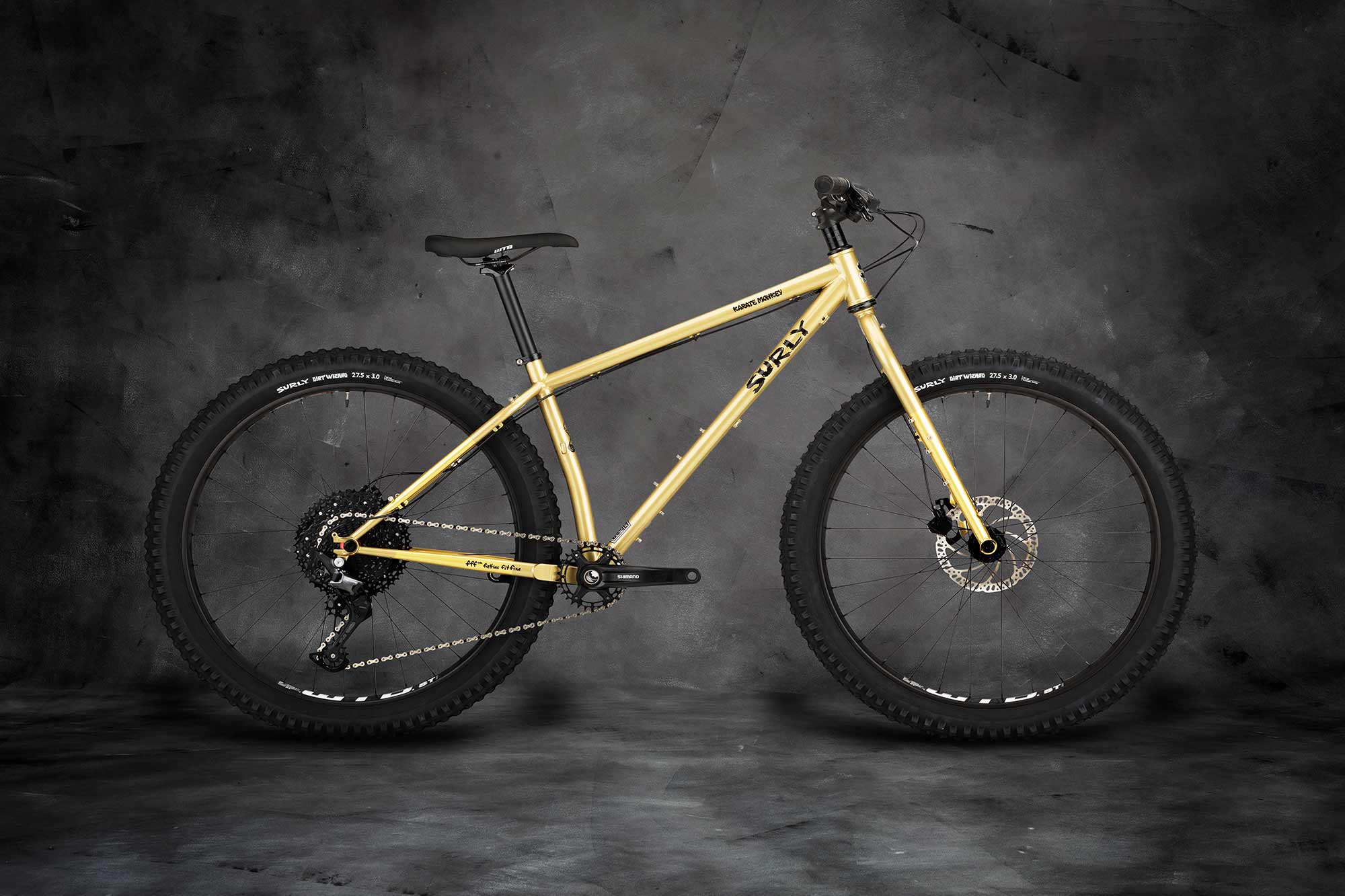 Karate Monkey bike, Fool's Gold