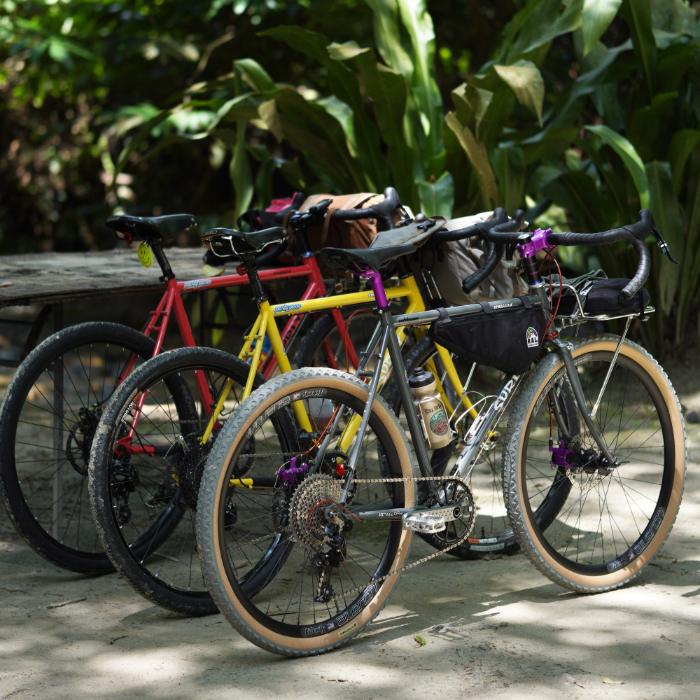 A row of Surly Bikes