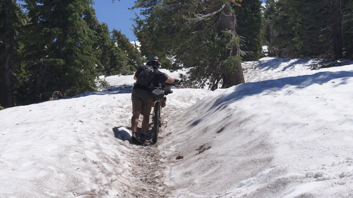 Rear view of a cyclist pushing a bike up a hill on a snow covered trail into the trees ahead