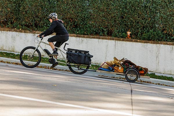 Cyclist rides a Surly Big Easy bike with a loaded trailer up a hill on a street