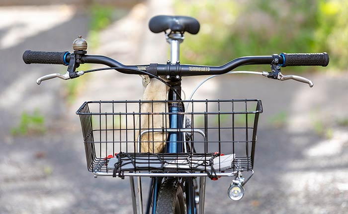 Front view of bike, black riser handlebar with grips, brake levers, bell, front rack with light mounted on one side and basket